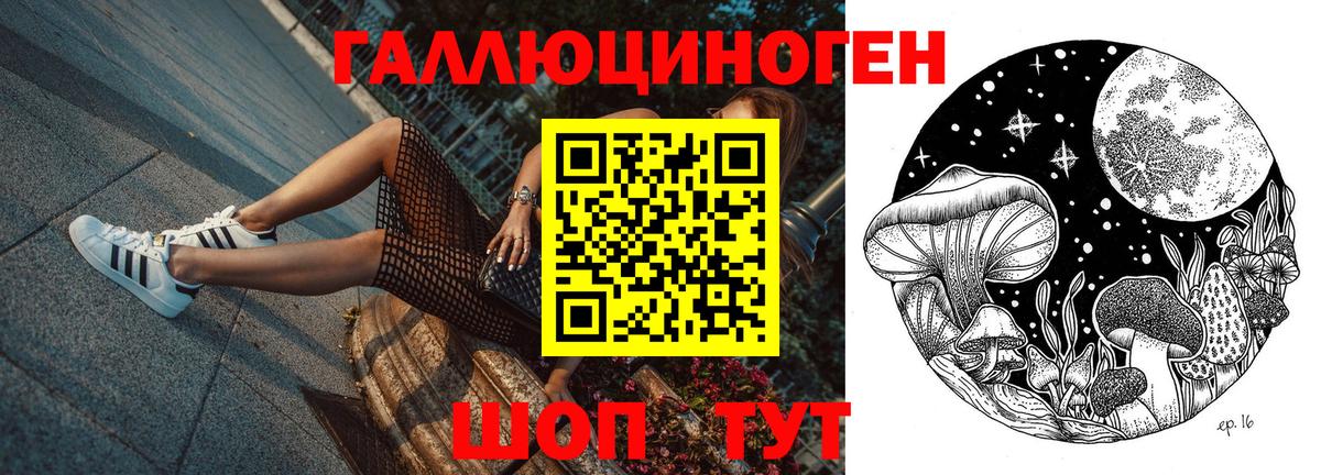 Псилоцибиновые грибы Psilocybe Коломна