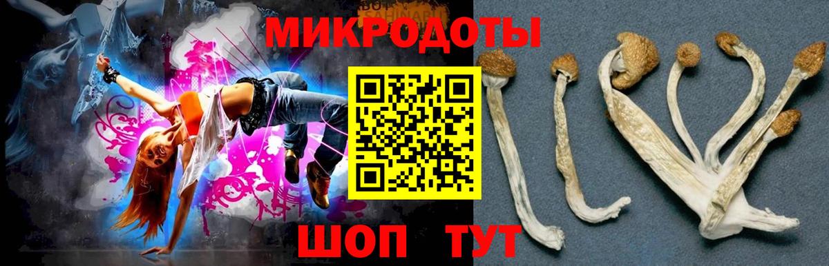 Галлюциногенные грибы Psilocybine cubensis  хочу   Коломна  Галлюциногенные грибы Cubensis  Вход с VPN 